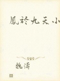 凤于九天小说