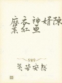 麻衣神婿陈黄皮叶红鱼