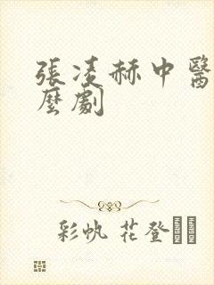 张凌赫中医是什么剧