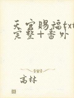 天官赐福txt完整+番外 txt下载