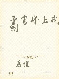 青鸾峰上我有一剑