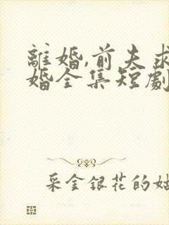 离婚,前夫求复婚全集短剧封面