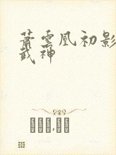 萧云凰初影荒古武神