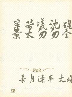 宁若曦沈砚舟盛景太匆匆全文小说封面