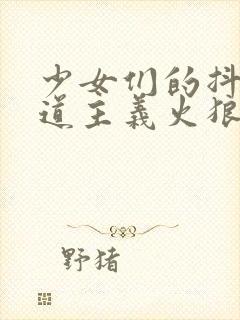 少女们的抖s茶道主义火狼动漫在线观看封面