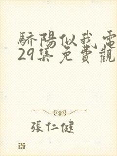 骄阳似我电视剧29集免费观看完整版