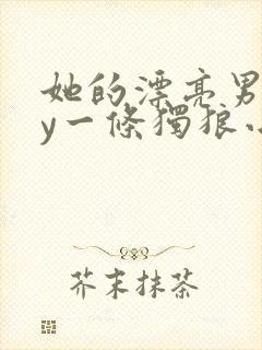 她的漂亮男友by一条独狼小说在线阅读