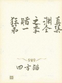 狂赌之渊真人版第一季全集免费观看