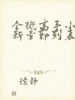 全职高手小说最新章节列表最封面