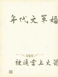 年代文军婚