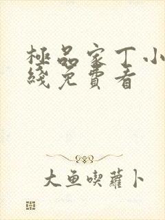 极品家丁小说在线免费看