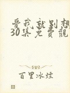 爱我就别想太多30集免费观看封面