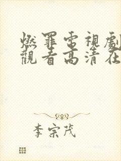 燃罪电视剧免费观看高清在线播放