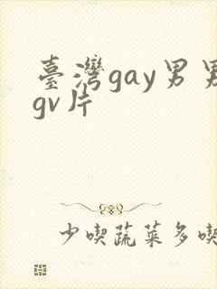 台湾gay男男gv片
