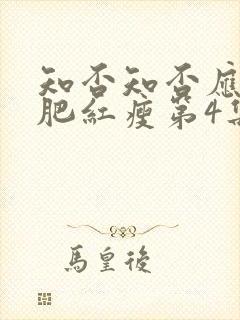 知否知否应是绿肥红瘦第4集封面