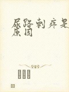 尿路刺疼是什么原因