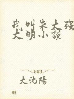 我叫朱大强穿越大明小说