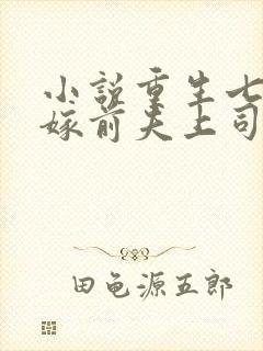 小说重生七零改嫁前夫上司完整版封面