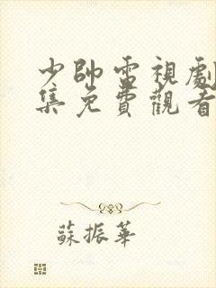 少帅电视剧48集免费观看