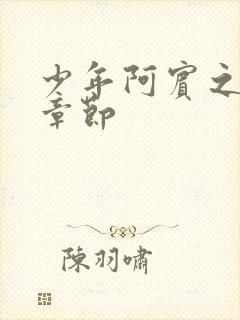 少年阿宾之最新章节