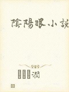 阴阳眼小说