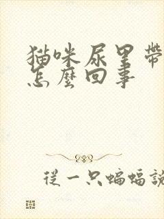 猫咪尿里带血是怎么回事