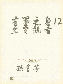 有罪之身12集免费观看封面