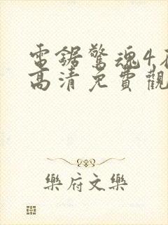 电锯惊魂4在线高清免费观看