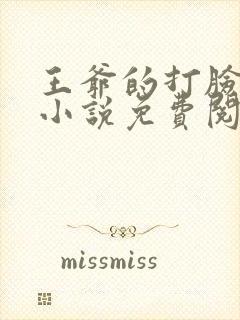 王爷的打脸日常小说免费阅读