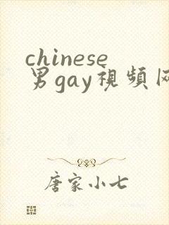 chinese男gay视频网站