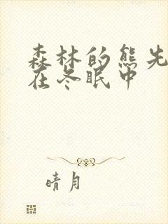 森林的熊先生正在冬眠中封面