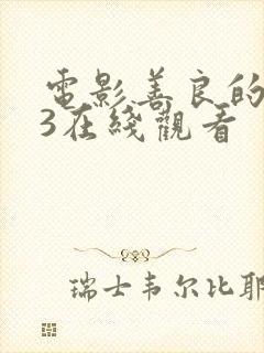 电影善良的嫂子3在线观看