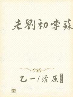 老刘初尝苏荷媳