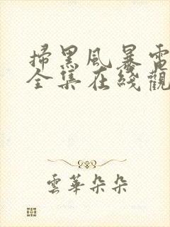 扫黑风暴电视剧全集在线观看免费