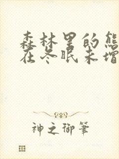 森林里的熊先生在冬眠未增删封面