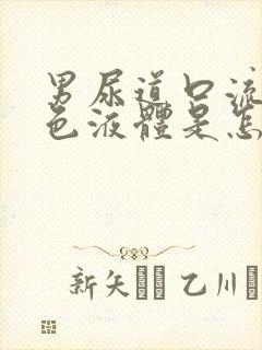 男尿道口流出黄色液体是怎么回事封面