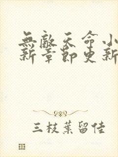 无敌天命小说最新章节更新