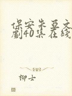 保安朱亚文电视剧40集在线观看