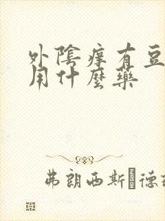 外阴痒有豆腐渣用什么药