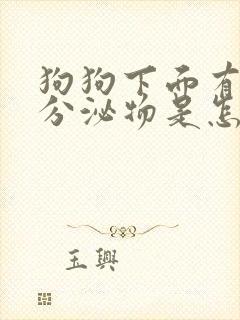 狗狗下面有黄色分泌物是怎么回事