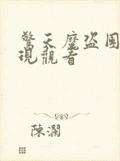 惊天魔盗团2在现观看