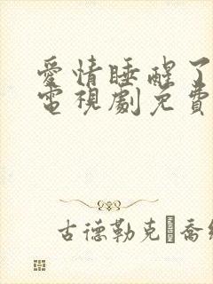 爱情睡醒了全集电视剧免费观看