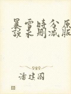 暴雪时分原著小说未删减版