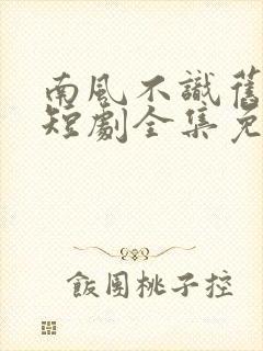 南风不识旧时人短剧全集免费播放