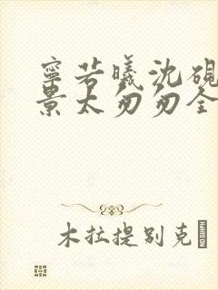 宁若曦沈砚舟盛景太匆匆全本阅读