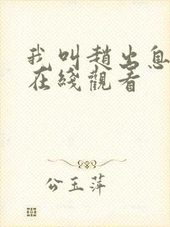 我叫赵出息全集在线观看封面