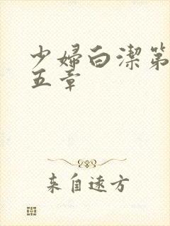 少妇白洁第二十五章