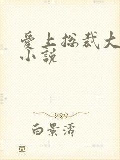 爱上总裁大叔的小说