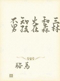 不知火和三个小男孩在森林公园