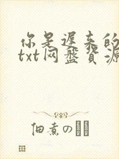 你是迟来的欢喜txt网盘资源